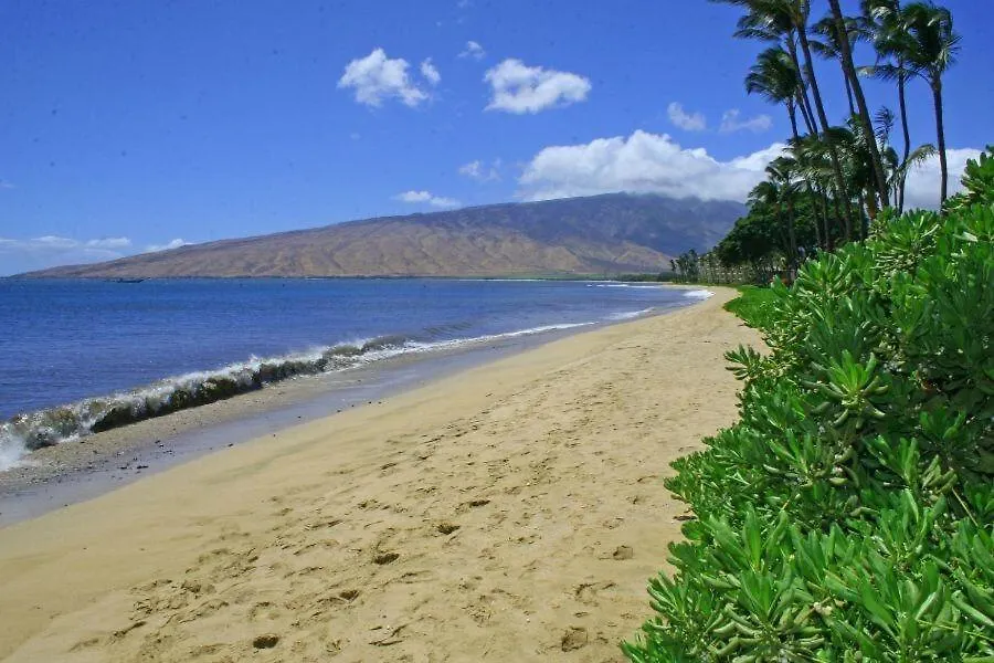 Kihei Beach, #409 Condo 0*,